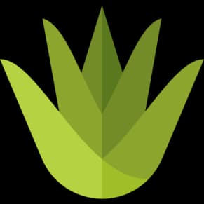 imagen de un agave